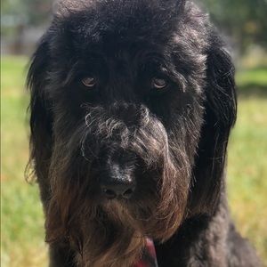 Meet your Posher, Ann